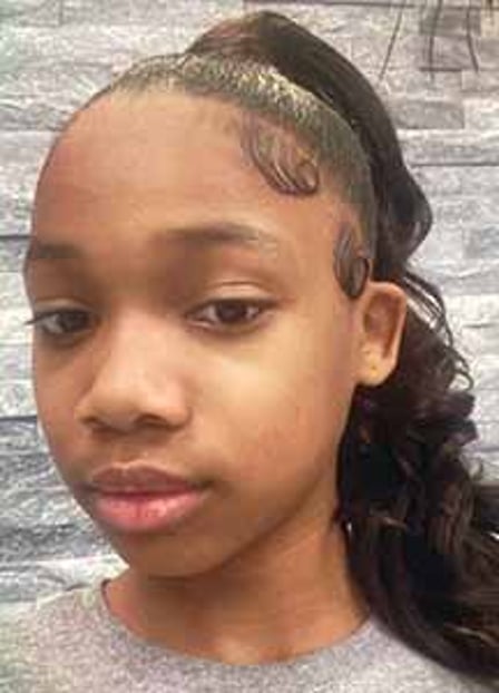 Amerie Guerrier Missing Since Jan 08, 2025 From West Hempstead, NY