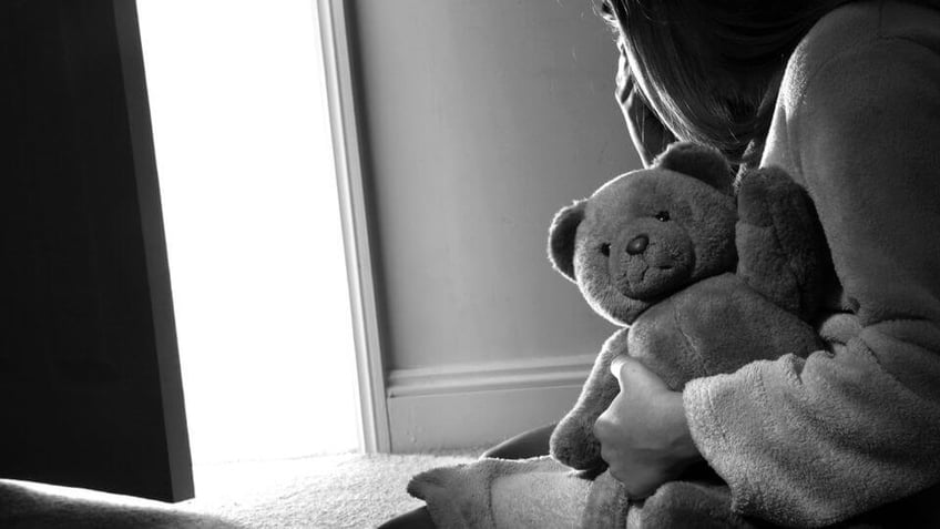 child protection referrals for domestic abuse climb to nearly 20 per day in yorkshire and humber