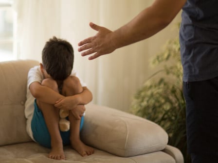 cnn beschimpt voor de bewering dat schreeuwen tegen kinderen net zo schadelijk is als seksueel of fysiek misbruik