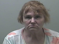 Michigan babysitter accused of sexually abusing children in her care faces 47 charges, police say