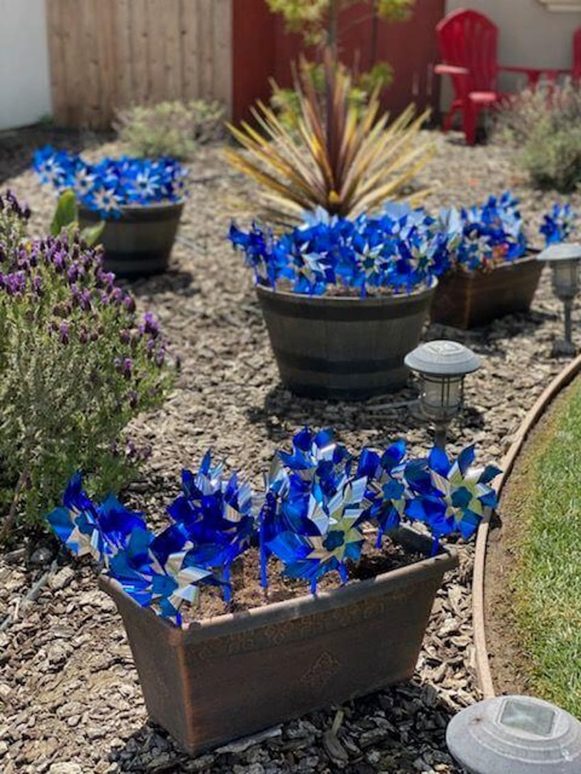 guadalupe residents join child abuse prevention campaign by planting pinwheels