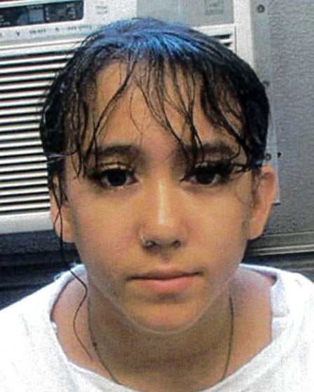 Lilianna Marmol Missing Since Nov 13, 2024 From Dix Hills, NY