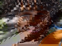 Arthur Torre Deoliveira пропал без вести 21 апреля 2026 года