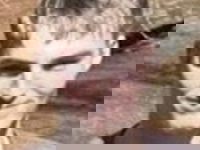 Colton Hart пропал без вести 12 апреля 2026 года в Fenwick, WV