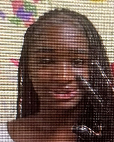 Jadore Roberts пропала без вести 12 мая 2026 года в Glenside, PA Jadore Roberts пропала без вести 12 мая 2026 года в Glenside, PA