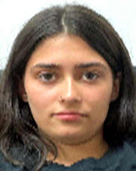 Neriah Clingerman Missing Since Jan 01, 2025 From Tampa, FL