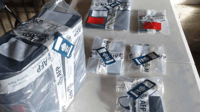 perro olfatea evidencia crucial en caso de abuso infantil en queensland