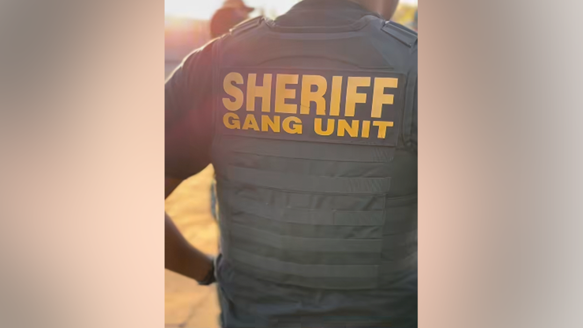 California ‘mental health' loophole frees killers and crooks with 'terrible laws,' sheriff warns Back of a Sacramento County gang unit officer