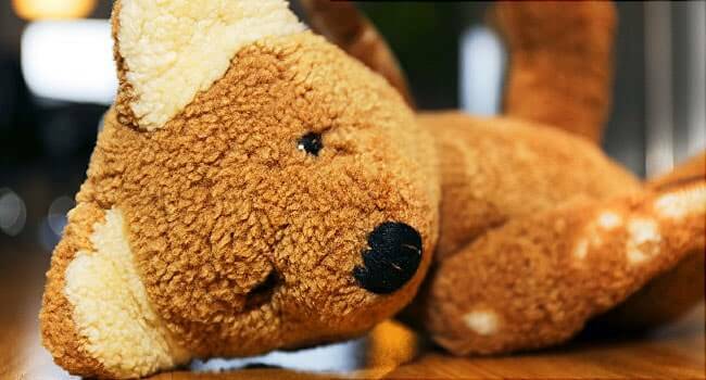 los efectos que tienen en el cerebro de los ninos los golpes es similar al que tiene el abuso