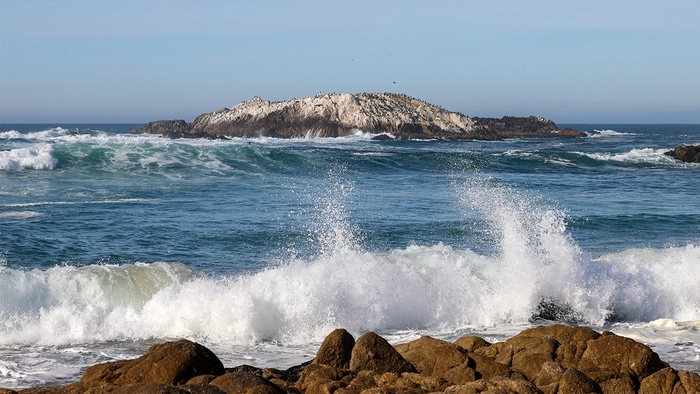 Jiu-jitsu instructor and pastor accused of horrific crimes against children in exclusive California enclave Monterey County California coast