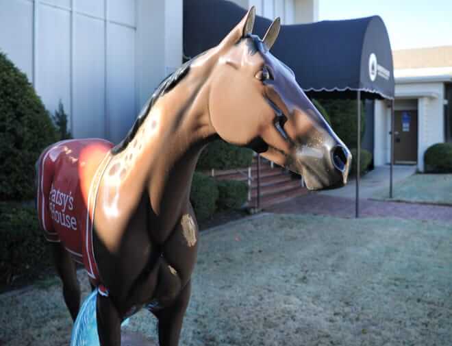 patsys house celebra el jueves el primer evento de save jane los voluntarios son bienvenidos para leer los nombres