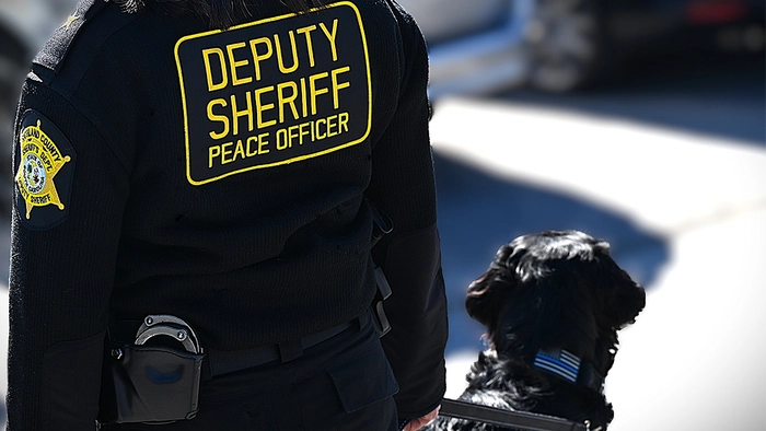 Помощник шерифа округа Ричланд