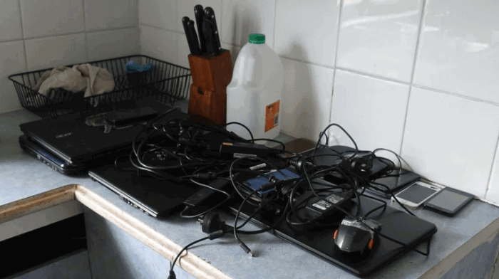 perro olfatea evidencia crucial en caso de abuso infantil en queensland