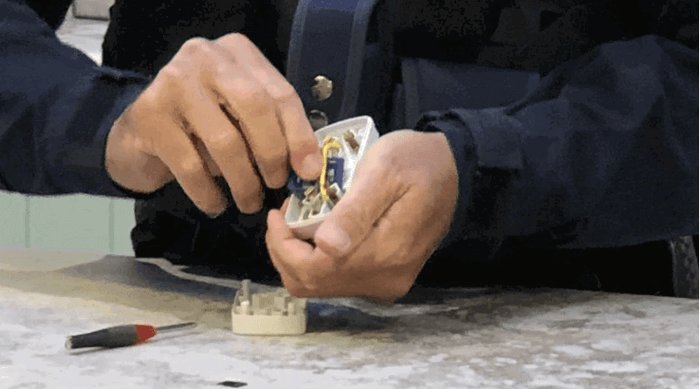 perro olfatea evidencia crucial en caso de abuso infantil en queensland