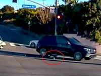 Калифорнийский малыш выпал из движущегося автомобиля, матери предъявлено обвинение