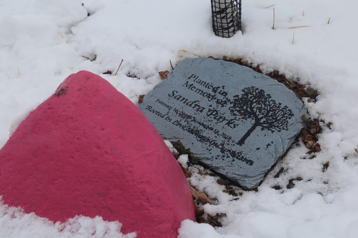 estos son los rostros que luchan contra el maltrato infantil en wisconsin los guardianes de la infancia