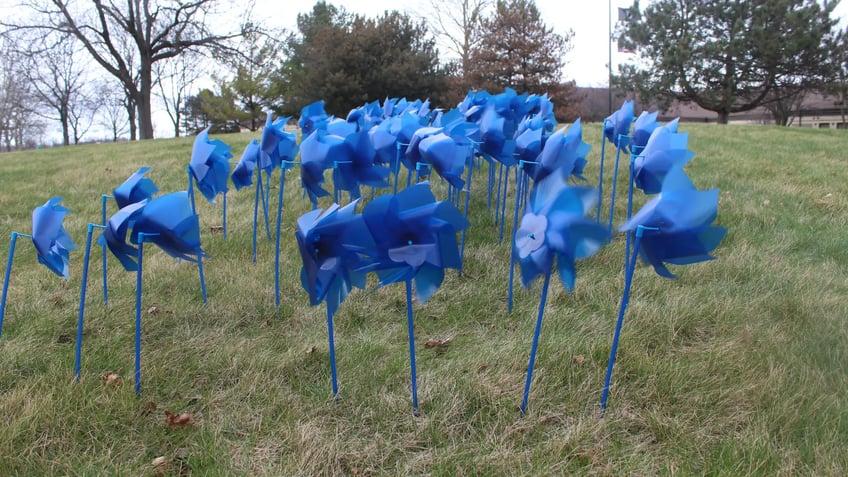 pinwheels planted in support of child abuse prevention month