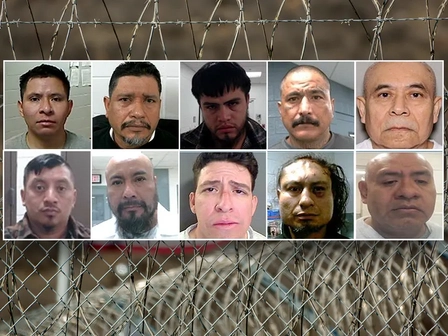 ICE зачищает осужденных педофилов и торговцев людьми в ходе масштабной операции в праздничные выходные: "Худшие из худших"