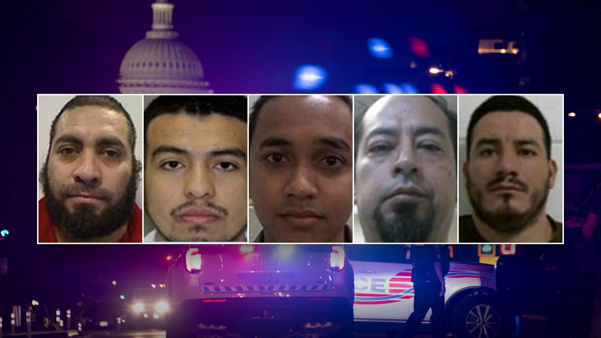 DHS reveals illegal migrants convicted of child molestation, rape arrested in DC under Trump crime crackdown