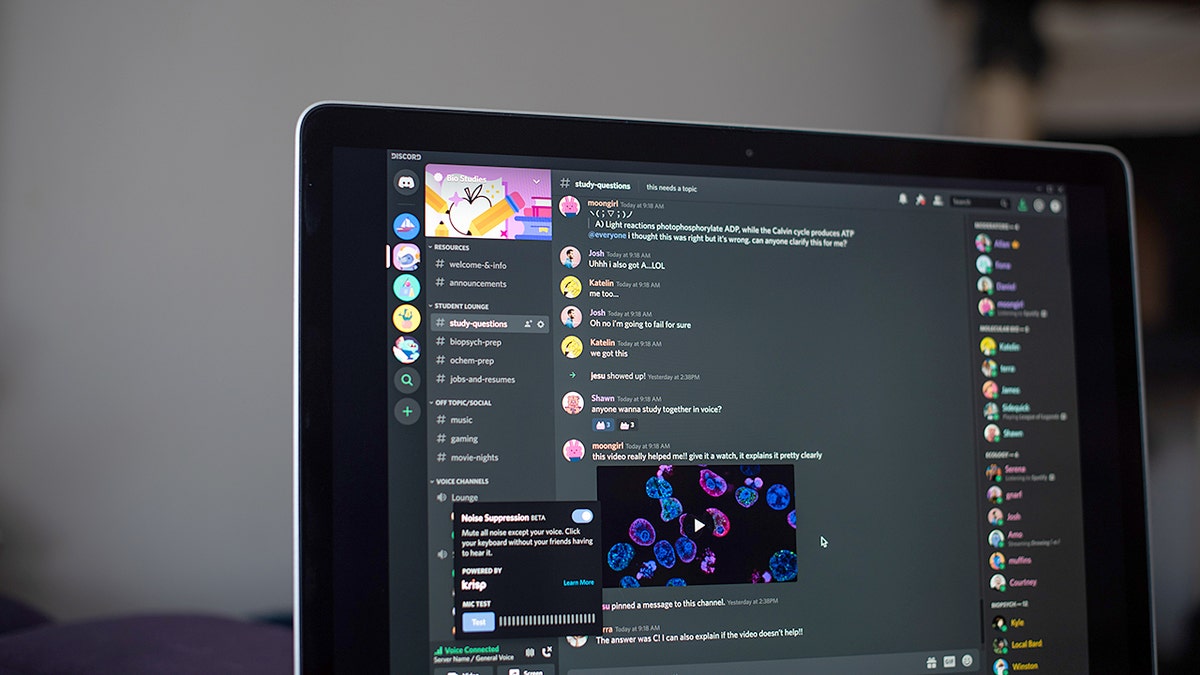 El Departamento de Justicia desmantela la red de explotación infantil "El culto de Greggy" que presuntamente obligaba a los niños a autolesionarse Una sala de chat Discord